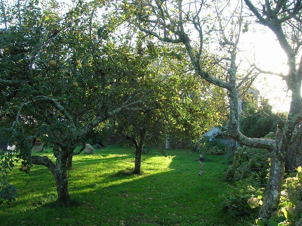 Pension - Albergue De Logrosa Negreira Buitenkant foto